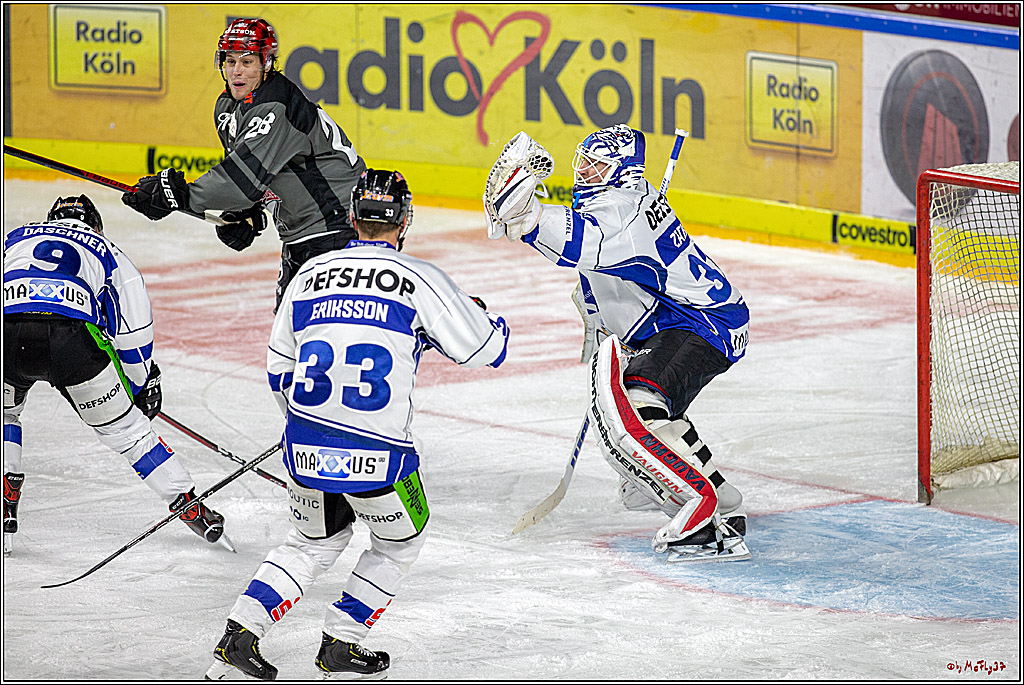 DEL; Koelner Haie - Straubing Tigers, 28.09.2018